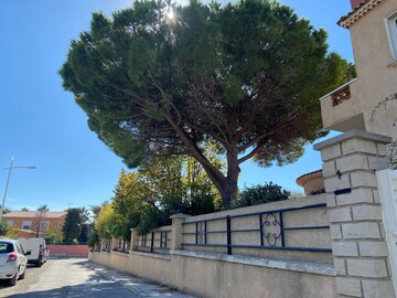 Taille d’éclaircie à Carry-le-Rouet