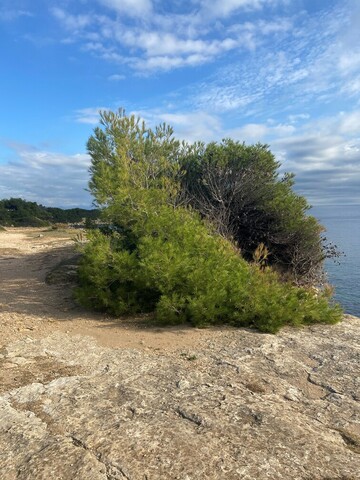 Mise en conformité à Martigues