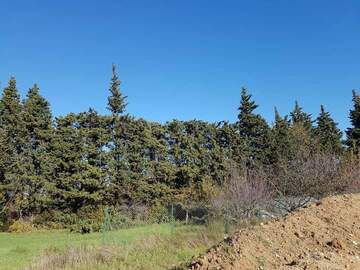 Débroussaillage de parcelle à Istres