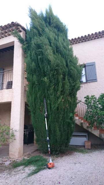 Entretien de jardin dans la région de Fos-sur-Mer