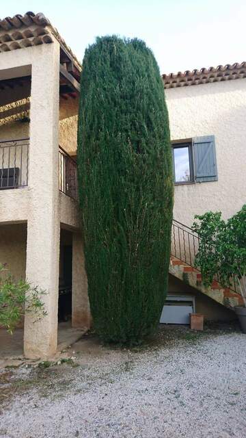 Entretien de jardin dans la région de Fos-sur-Mer