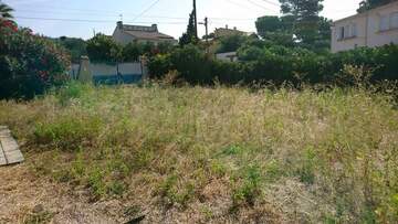 Entretien de jardin dans la région de Fos-sur-Mer