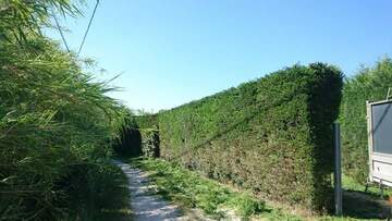 Entretien de jardin dans la région de Fos-sur-Mer