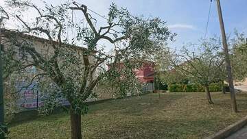 Entretien de jardin dans la région de Fos-sur-Mer