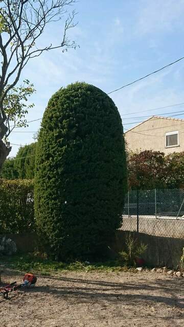 Entretien de jardin dans la région de Fos-sur-Mer