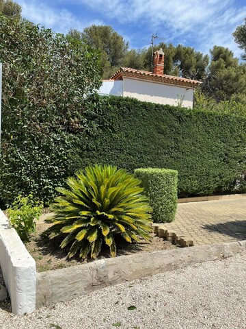 Entretien d'un jardin et taille de haies à Sausset les Pins 