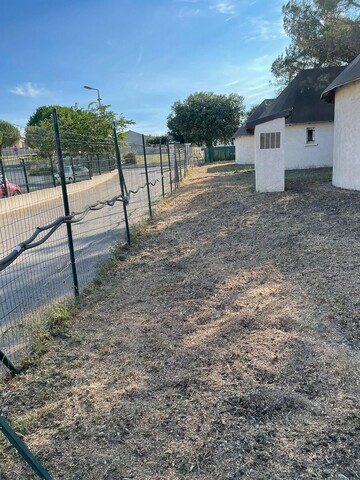 Abattage et rognage d'une haie de Cyprès à Fos sur mer