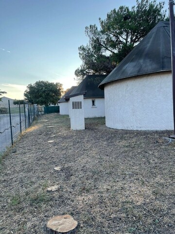 Abattage et rognage d'une haie de Cyprès à Fos sur mer