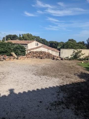 Abattage par démontage d’un Pin fragilisé à La Couronne