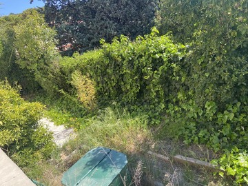 Remise en état d’un jardin à Martigues