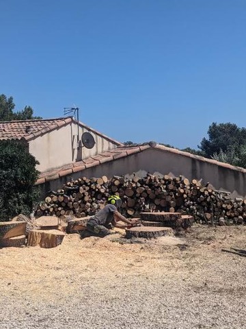 Abattage par démontage d’un Pin fragilisé à La Couronne