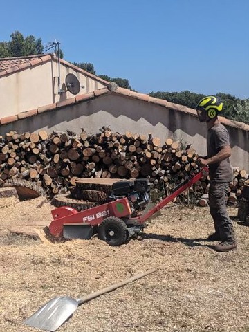 Abattage par démontage d’un Pin fragilisé à La Couronne