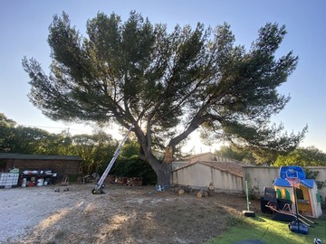 Abattage par démontage d’un Pin fragilisé à La Couronne