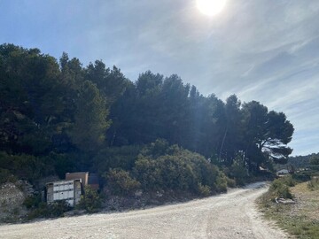 Réalisation pour une menuiserie à Martigues avec gros débroussaillage et abattage de Pins 