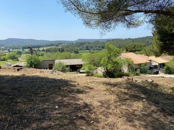 Réalisation pour une menuiserie à Martigues avec gros débroussaillage et abattage de Pins 