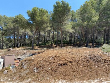 Réalisation pour une menuiserie à Martigues avec gros débroussaillage et abattage de Pins 