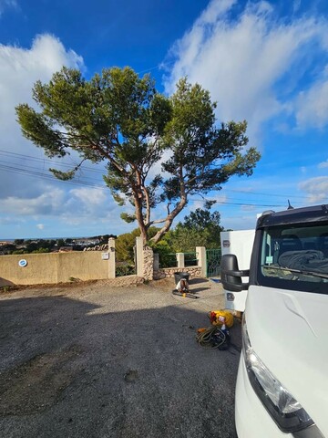 Elagage d'un Pin sur la commune de la Couronne