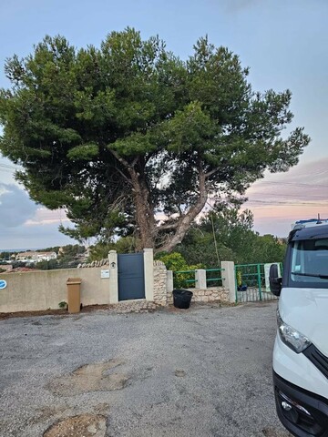 Elagage d'un Pin sur la commune de la Couronne