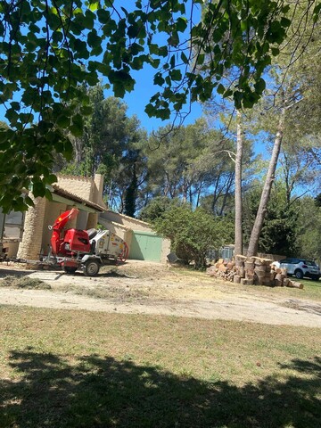 Abattage par démontage de Pins à St Mitre les Remparts