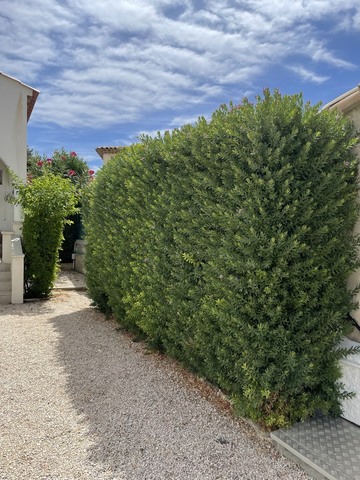 Entretient de jardin à Sausset-les-Pins