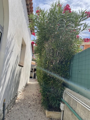 Entretient de jardin à Sausset-les-Pins