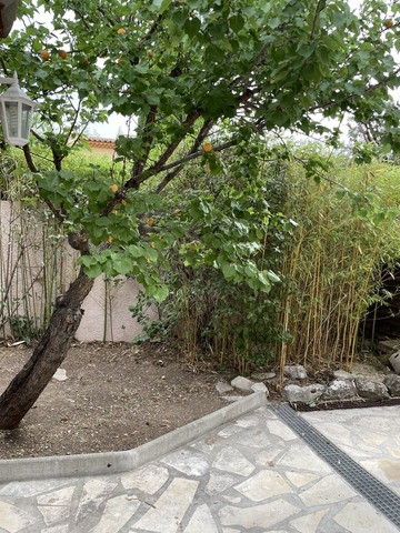 Remise en état d’un jardin à Martigues