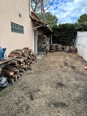 Chantier d’abattage d’un Pin Parasol et rognage de sa souche - Sausset Les Pins