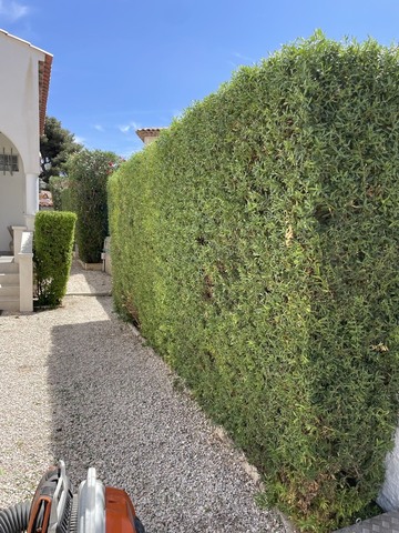 Entretient de jardin à Sausset-les-Pins