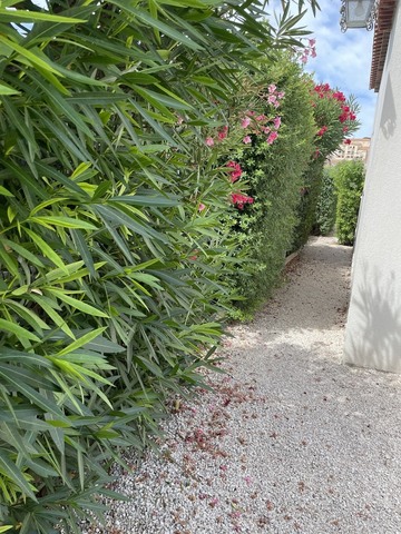 Entretient de jardin à Sausset-les-Pins