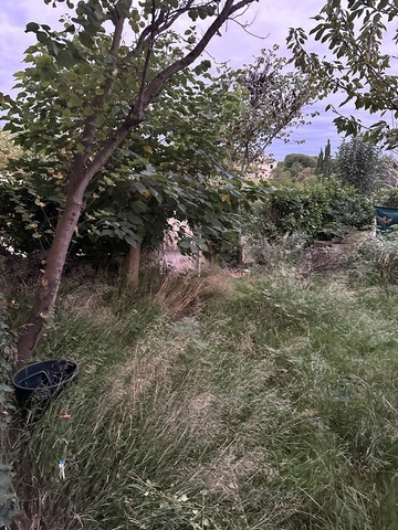 Remise en état d’un jardin à Istres