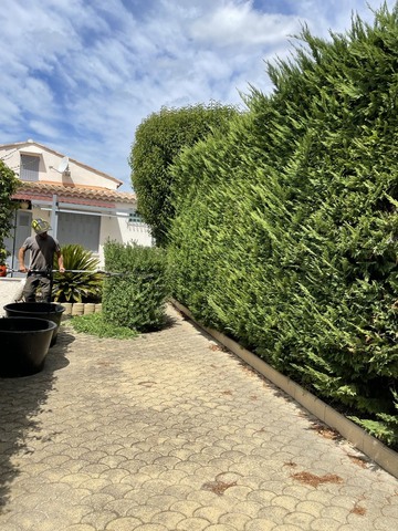 Entretient de jardin à Sausset-les-Pins