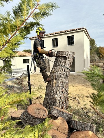 Abattage d’un Pin sur la commune de St Mitre les Remparts