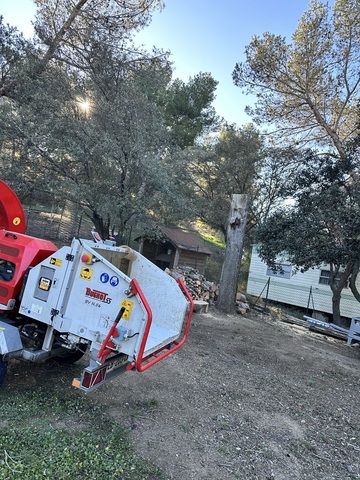 Abbattage d'un pin sur la commune de St Mitre les Remparts