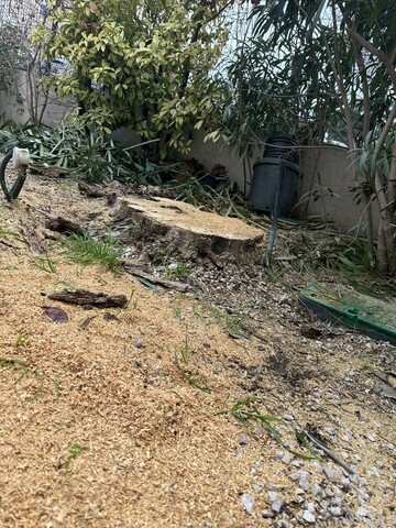 Rognage de souches à Carry-le-Rouet : une intervention professionnelle