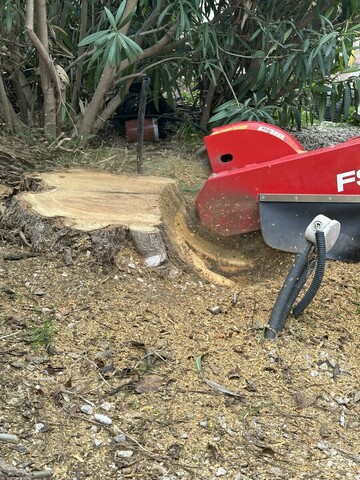 Rognage de souches à Carry-le-Rouet : une intervention professionnelle