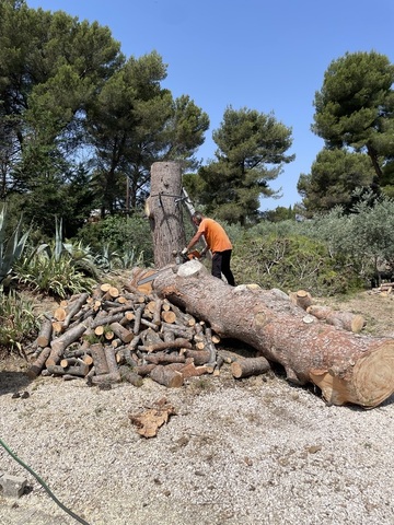 Abattage par démontage d’un Pin d’Alep sur la commune de Velau